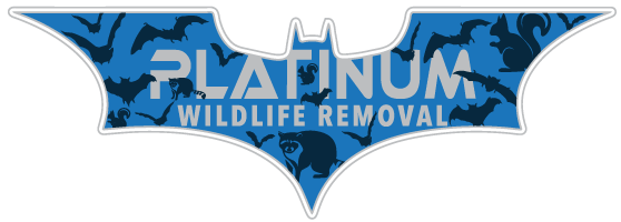 Animal Removal White County